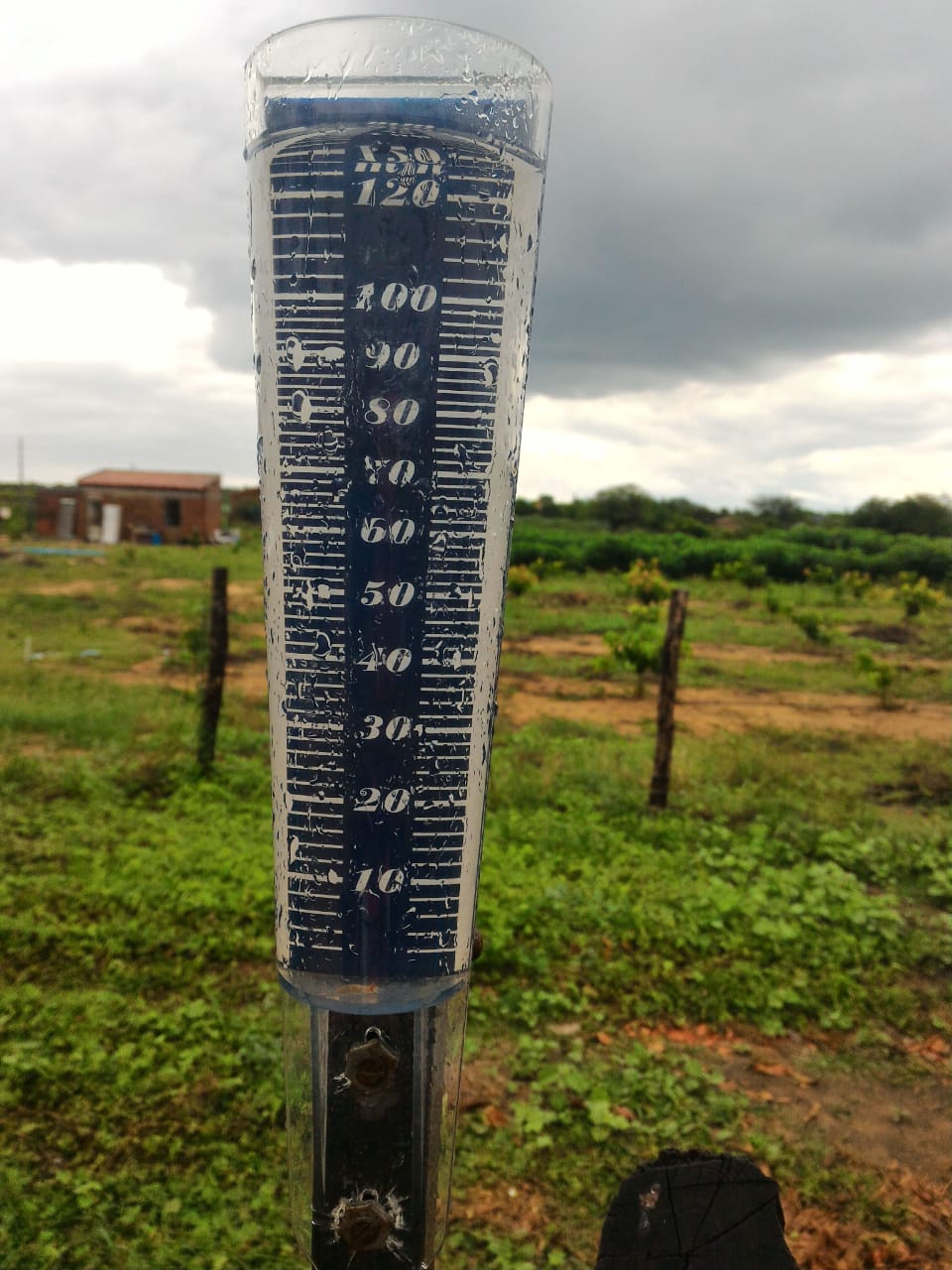 Forte chuva supera 100 mm no Povoado da Tapera, em Petrolina (PE