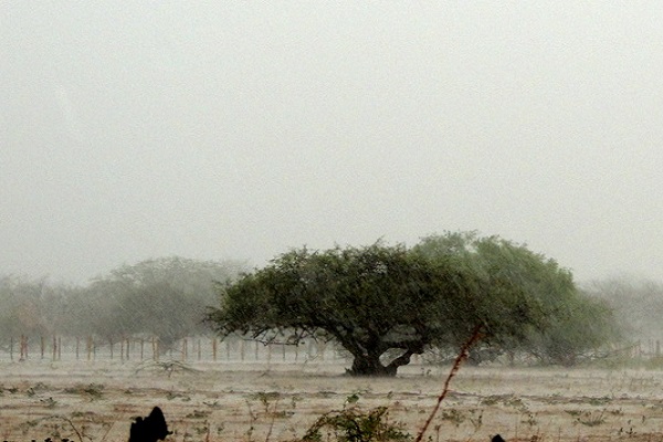 Forte chuva supera 100 mm no Povoado da Tapera, em Petrolina (PE) – Blog  Edenevaldo Alves